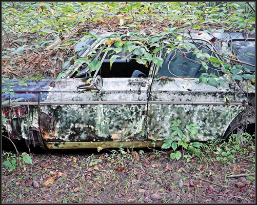 Plymouth Belvedere (2025)
77 x 61 cm
oil on linen